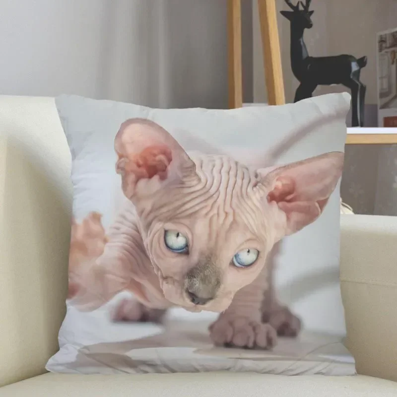 Musife- Funda de almohada Personalada de gato Sphynx, 45x45cm, con cremallera cuadrada, envío Dir dir dir dir dirdo, 04,24