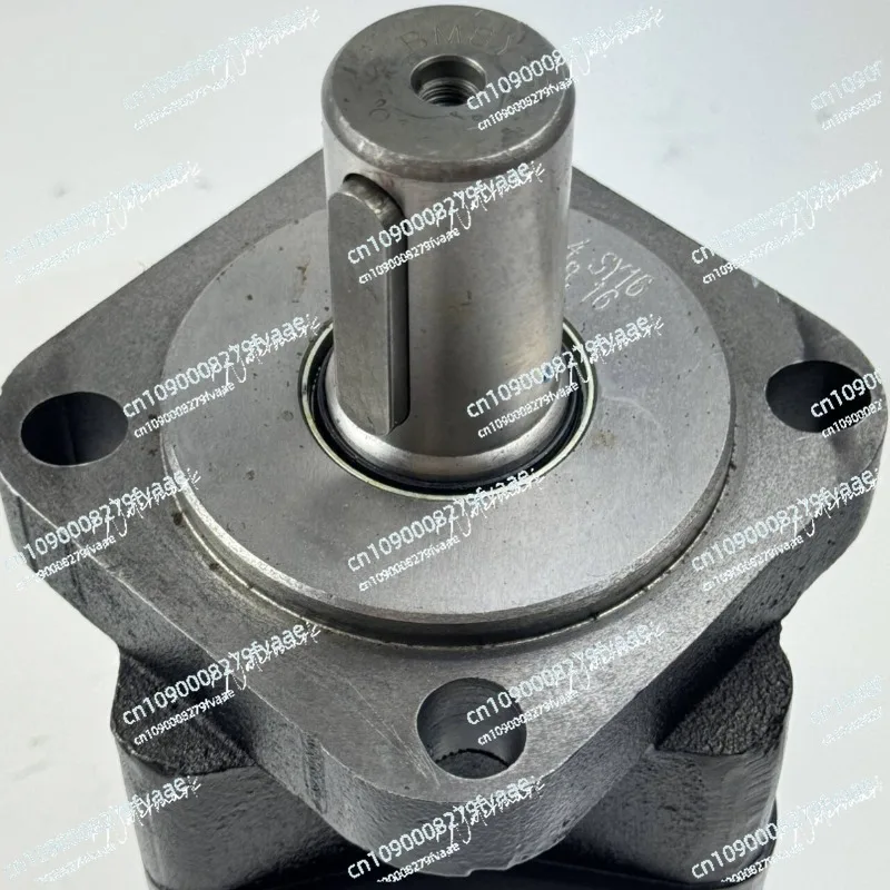 Small size, high efficiency, replaceable cycloid hydraulic motor