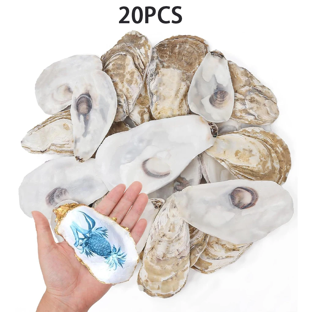

Blended DIY Painting Theme Party Decor Sea Shells For Crafts 20 PCS Flat Oysters Shells Natural