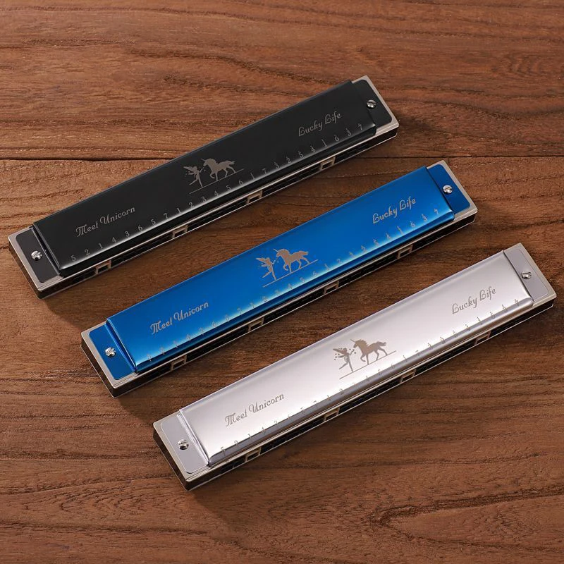 Polyphonic Harmonica Beginners C Key Harmonicas Child Adult 24 Holes Harmonica Student Playing Harmonicas with Storage Box