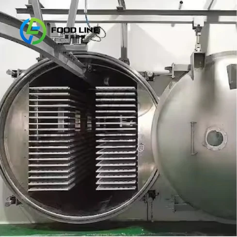 Lyophilizante comercial de acero inoxidable, liofilizador al vacío/máquina de secado para secar frutas/mariscos/sopa de alimentos instantáneas