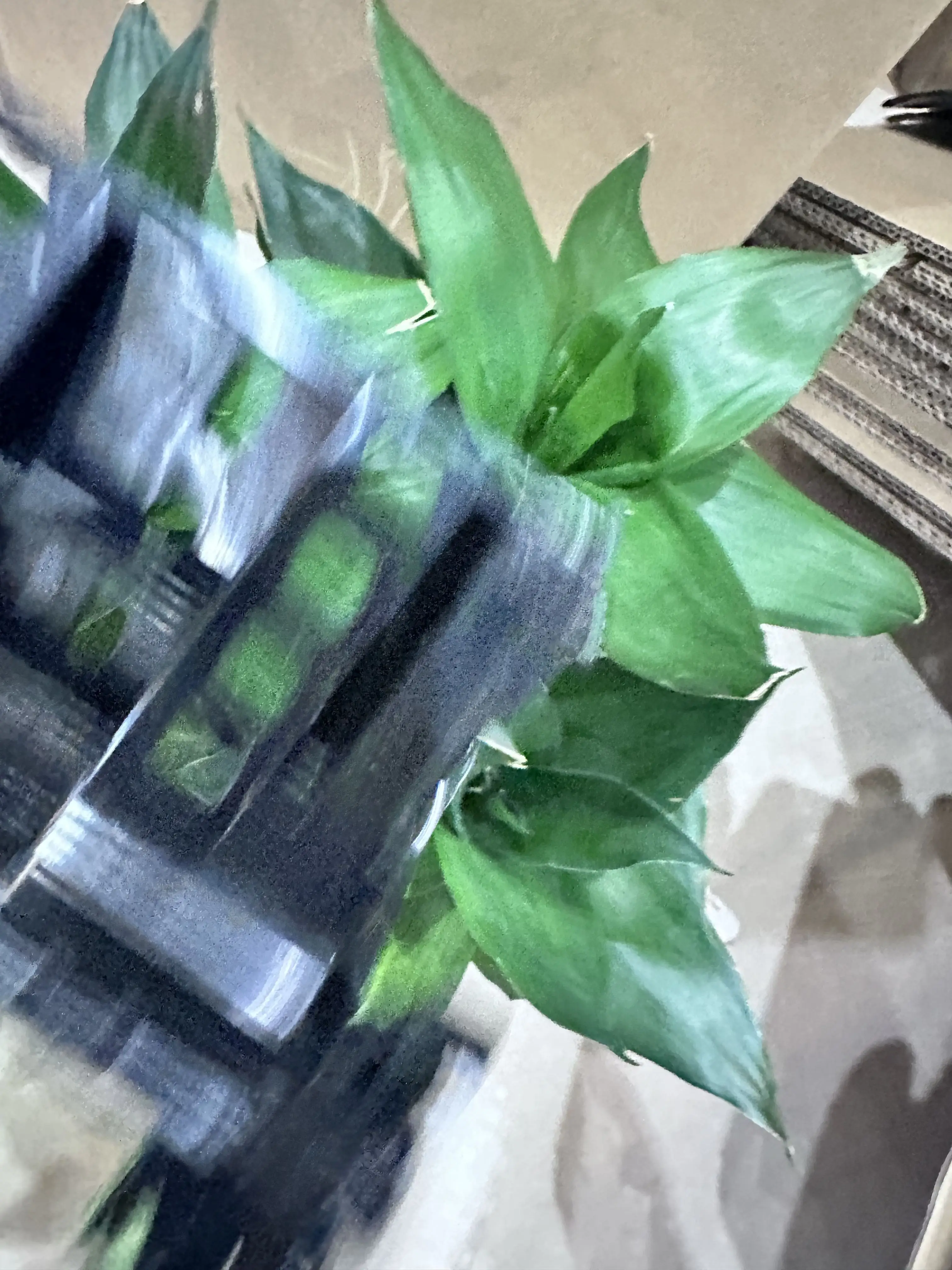 

JC93-00334A Frame Rear for Samsung ML 3310 3312 3710 3712 3750 4833 4835 5637 5639 3370 3375 3870 3875 4070 4075 Fuser Cover