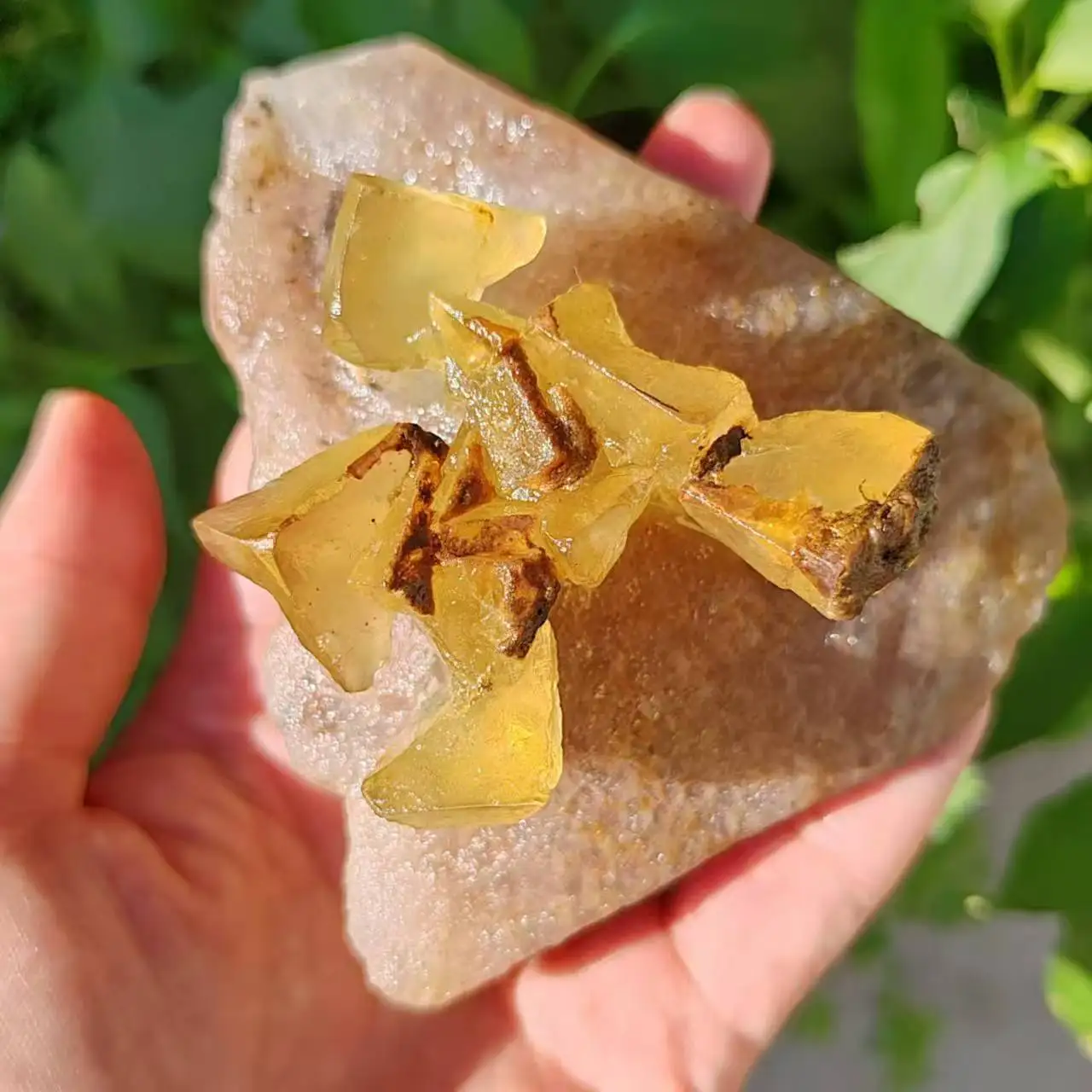 

Natural yellow Cubic fluorite mineral specimen Healing