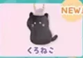 black cat