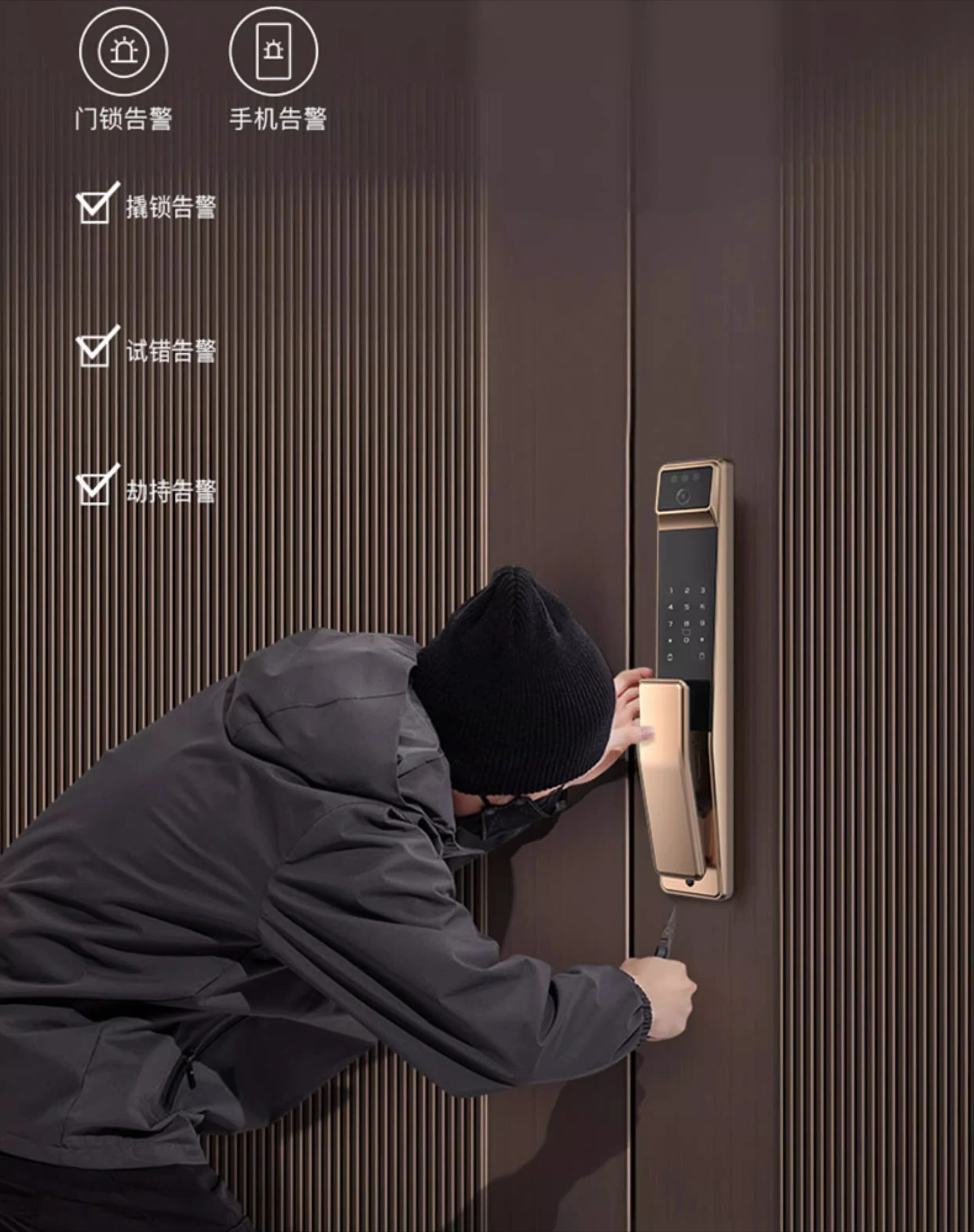 Fingerprint Lock, Fully Automatic, Home Facial Recognition Smart Password Remote Unlock, Electronic Home, Door Lock