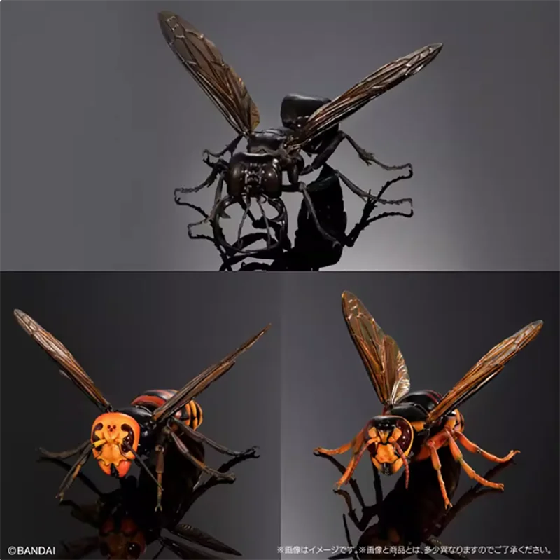 OriginalBiological Big Picture Mirror Wasp 02 Fantasy Bee Queen Bee Action Figure Model Toys Gift