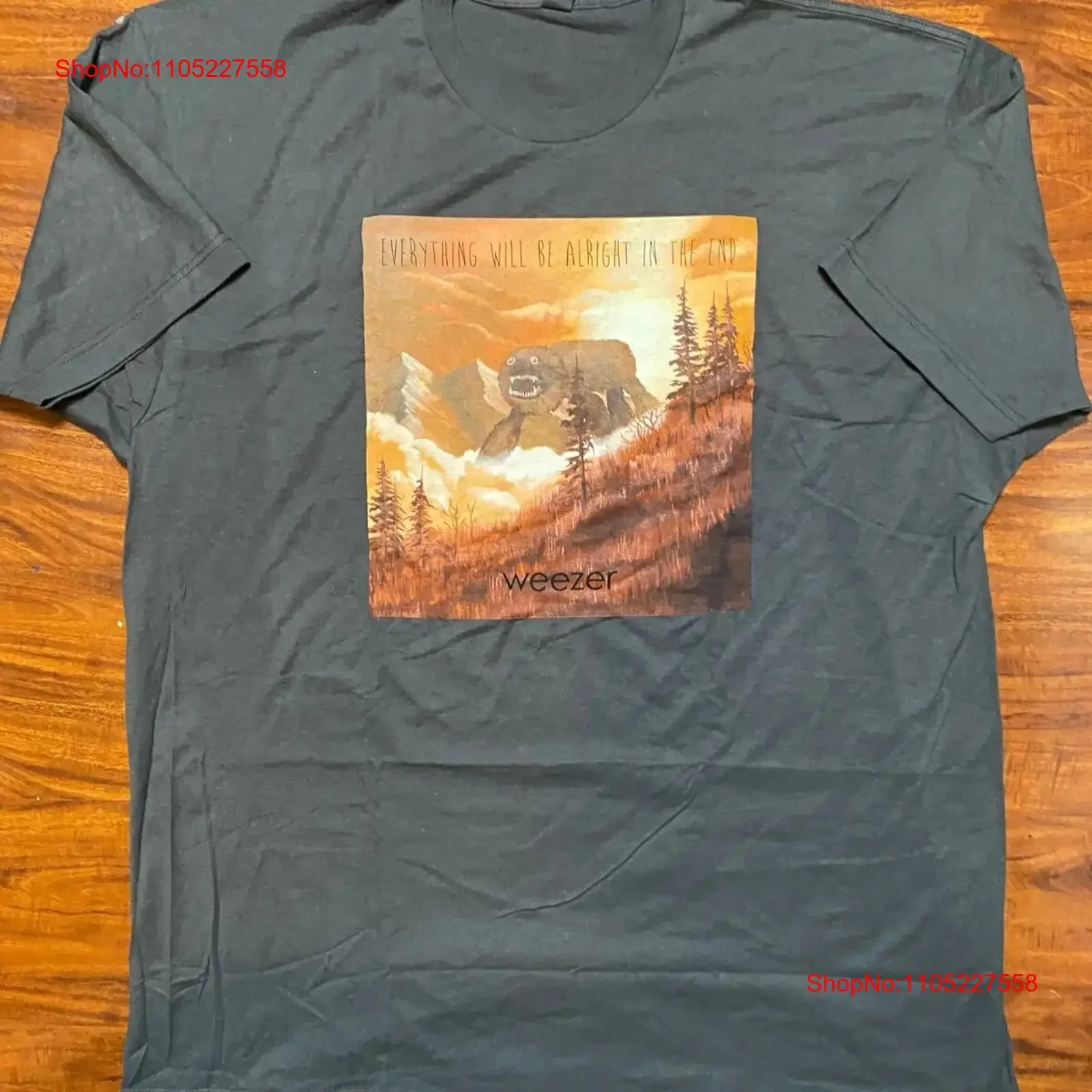 WEEZER Everything Will be Alright in the End Gray Band T Shirt SZ 2XL NWOT vintage Washed streetwear Top For Everyday Wear