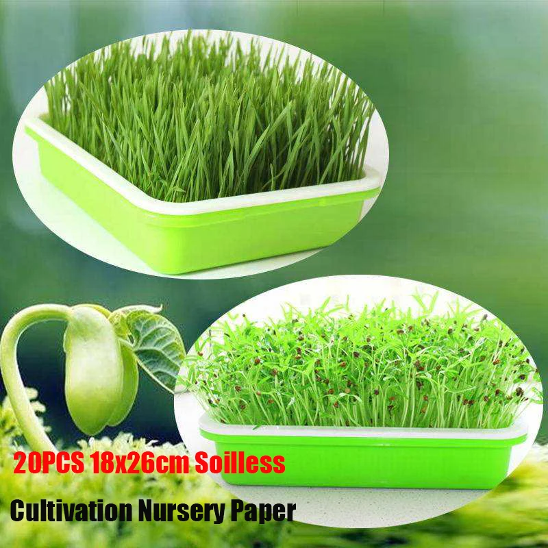 

20Pcs 18x26CM Soilless Cultivation Nursery Paper for Sprout Plate Seedling Germination Nursery Growing Vegetable Paper