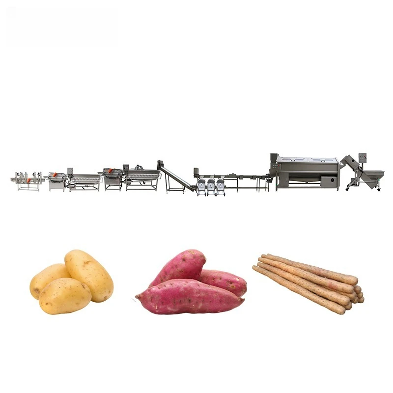 Root Fruit Vegetable Processing Line Brush Washing Machine for Root Vegetables