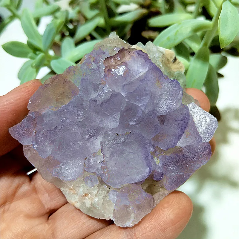 الكريستال الطبيعي الأرجواني فلوريت مجموعات كريستال الساحرة خام السحر الطاقة التأمل فنغ شوي كريستال غرفة زخرفة #6