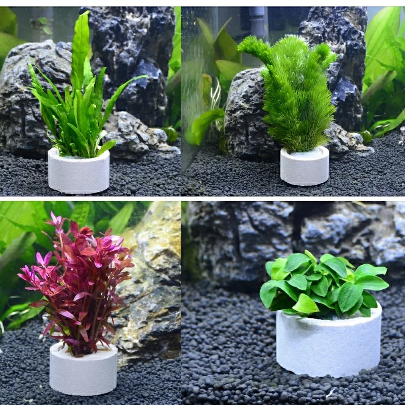 Aquarium Decoration Ceramic Ring, Fish Tank Plant Fixing Pot, Polka Aquatic Plants, Potted Planting Cup, Aquarium Accessories