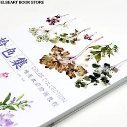 Color Collection Watercolor Painting Tutorial Book