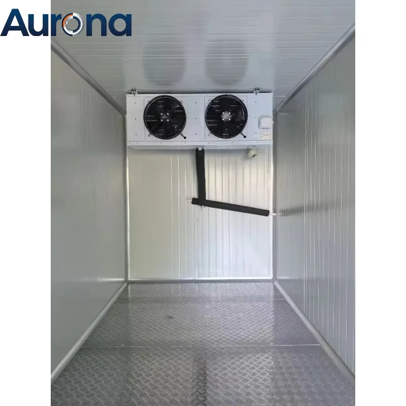 【Industrial】Commercial 20FT 40FT Container Cold Room -25℃ Deep Freezer Fresh Meat Storage Precise Temp Control Meat Processing P