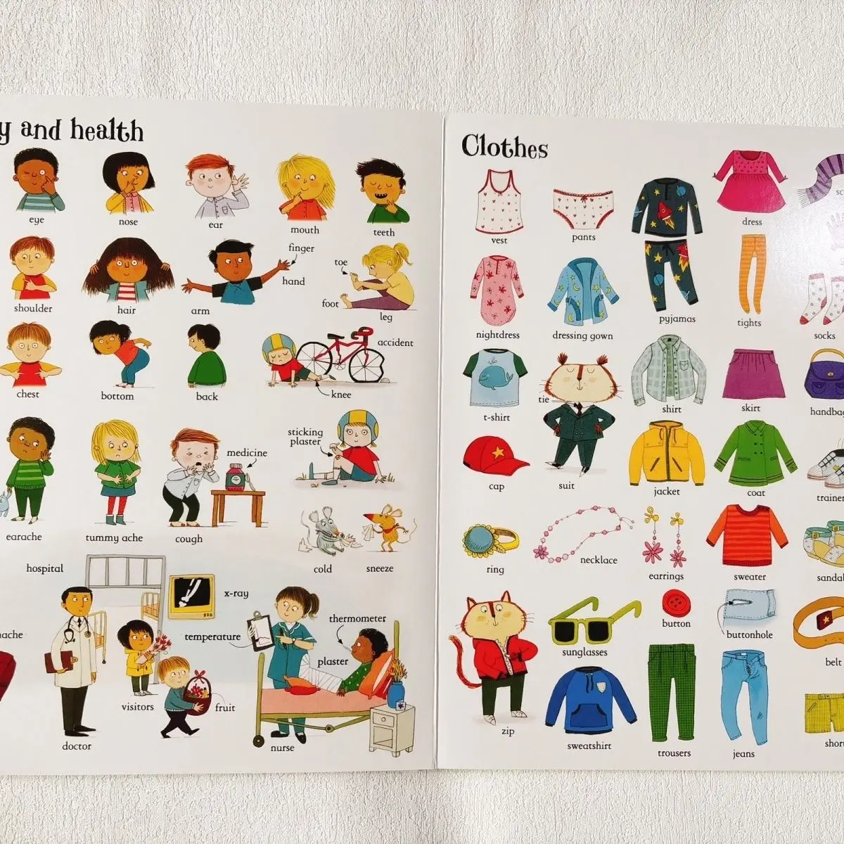 The Usborne Big Book of English Words Cardboard large-format word children's language learning book