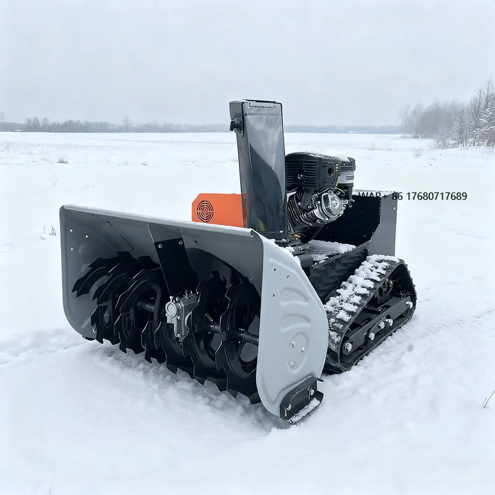 

Woer Cheap Powerful Tracked Remote Control Winter New Design Intelligent Cordless Snow Blower Equipment Mini