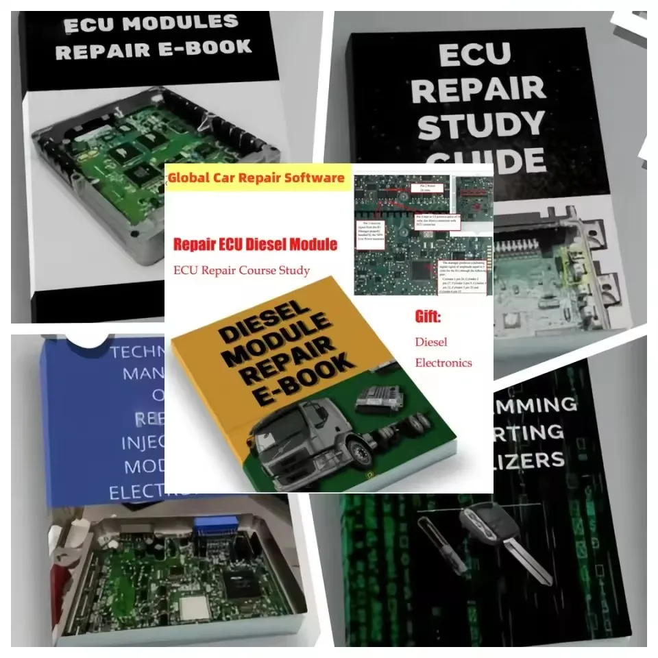 Módulos ECU Curso de reprogramación Juego completo Manual de reparación ECU Guía de estudio de libros electrónicos para taller C