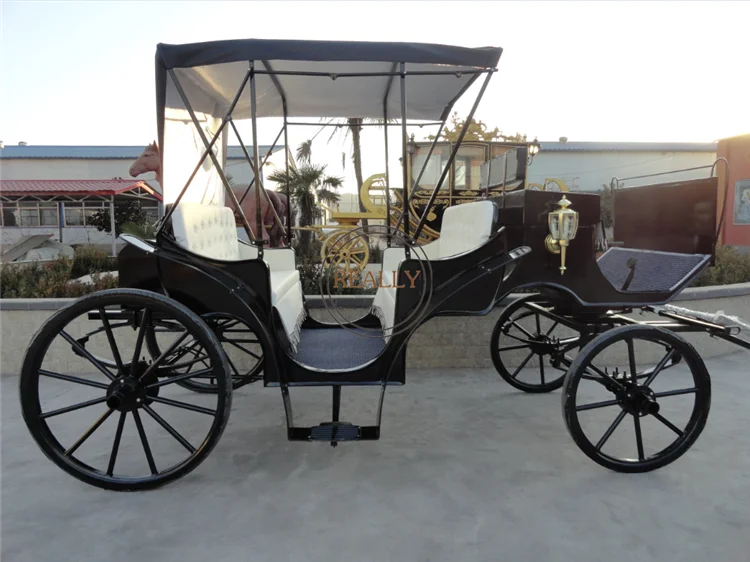 Cinderella Car Manufacturer Electric Horse Carriage Wedding Electric Double Row Carriage For Sale