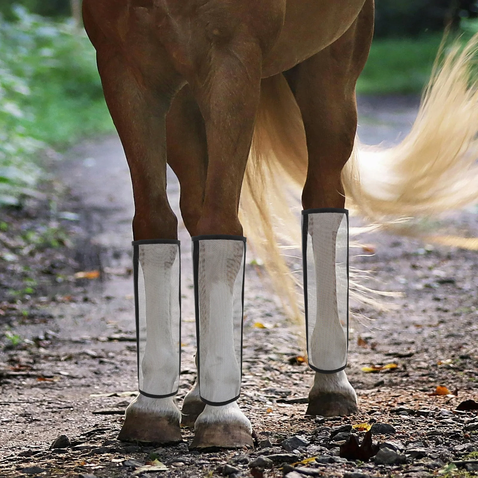 مجموعة أحذية طيران شبكية مكونة من 4 قطع مكونة من 4 قطع لحماية ساق الحصان وتصميم بلاستيكي مسامي ومضاد للحشرات ومستلزمات العناية بالحصان #5