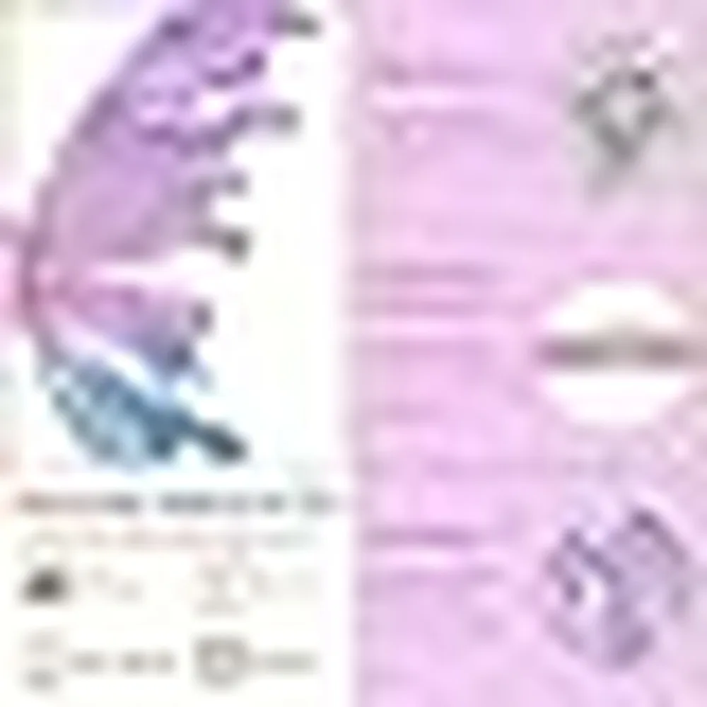 Fairy Electric Butterfly Alas De Mariposa Con Luces Y Movimiento Cool Creativity For Kids