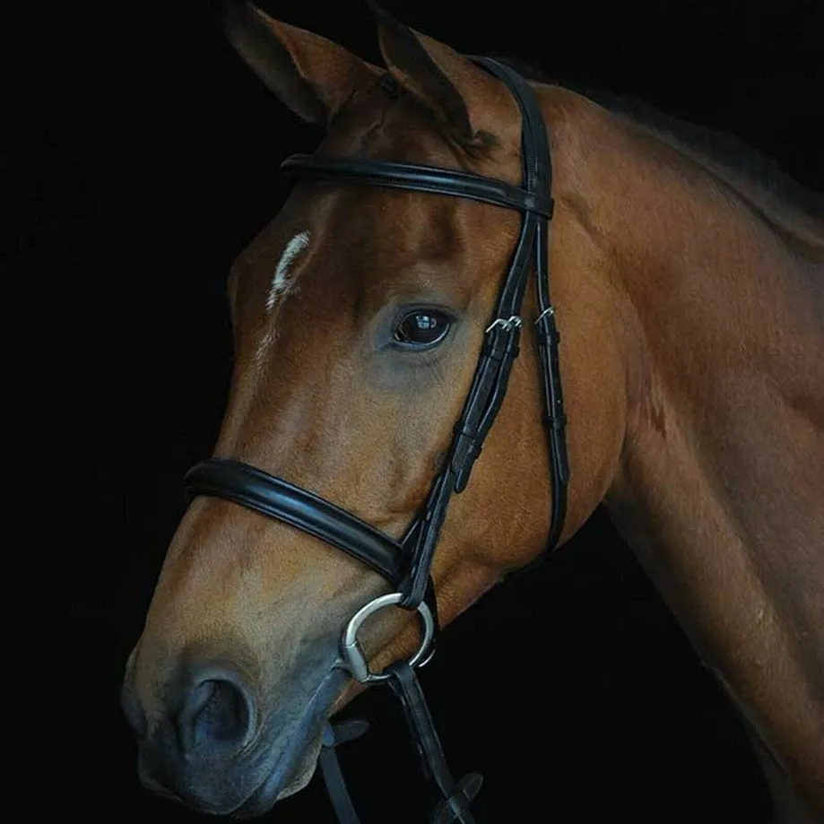 Imported British pony PONY Debao water reins cowhide water reins Equestrian supplies Horse armature harness