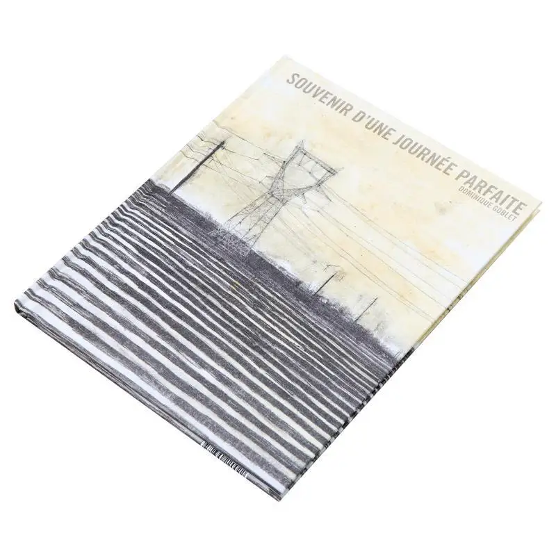 Memory Of A Perfect Day Dominique Goblet Fremok 9782390220022 Book