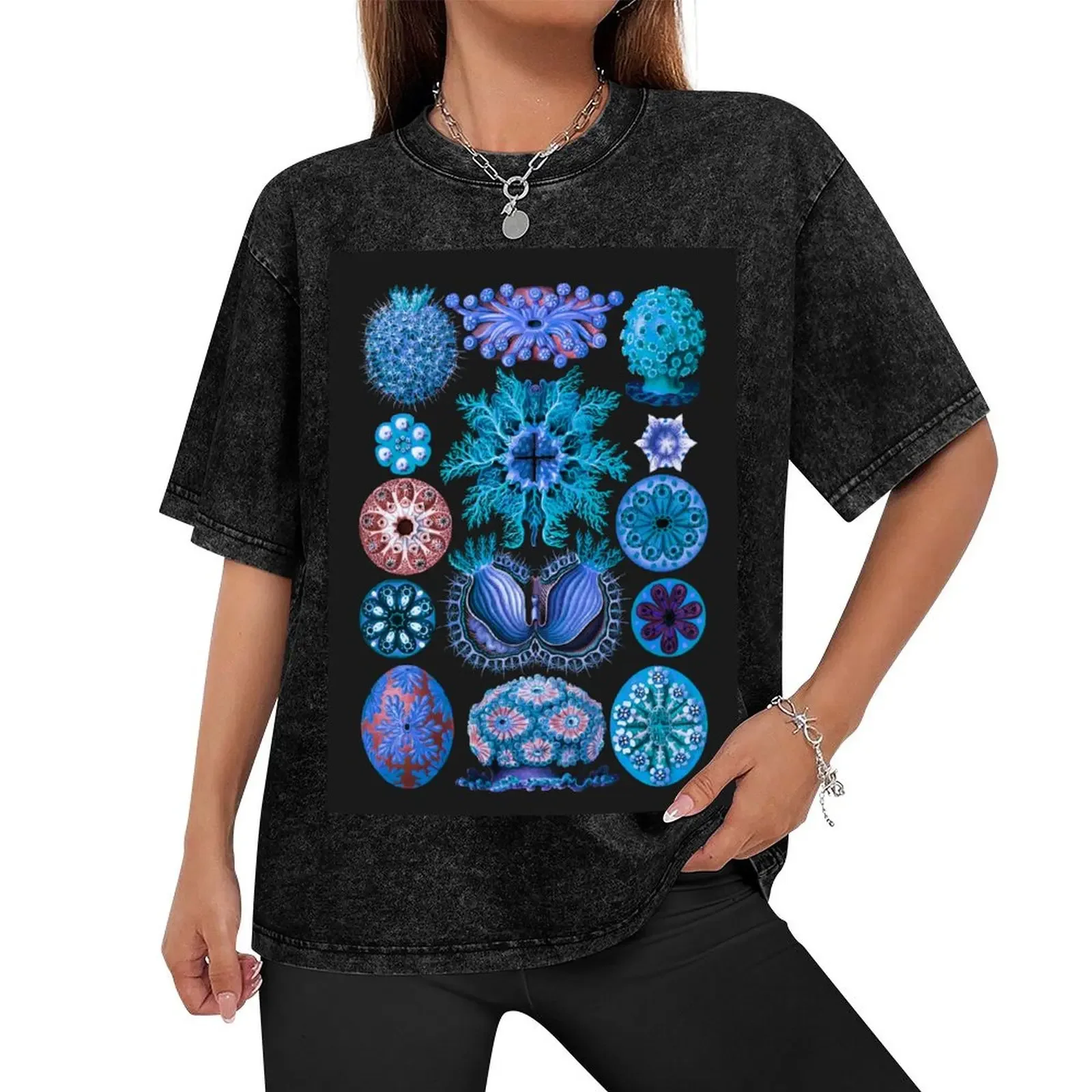 Blue: Haeckel Ascidiae T-Shirt sublime korean fashion men graphic t shirts