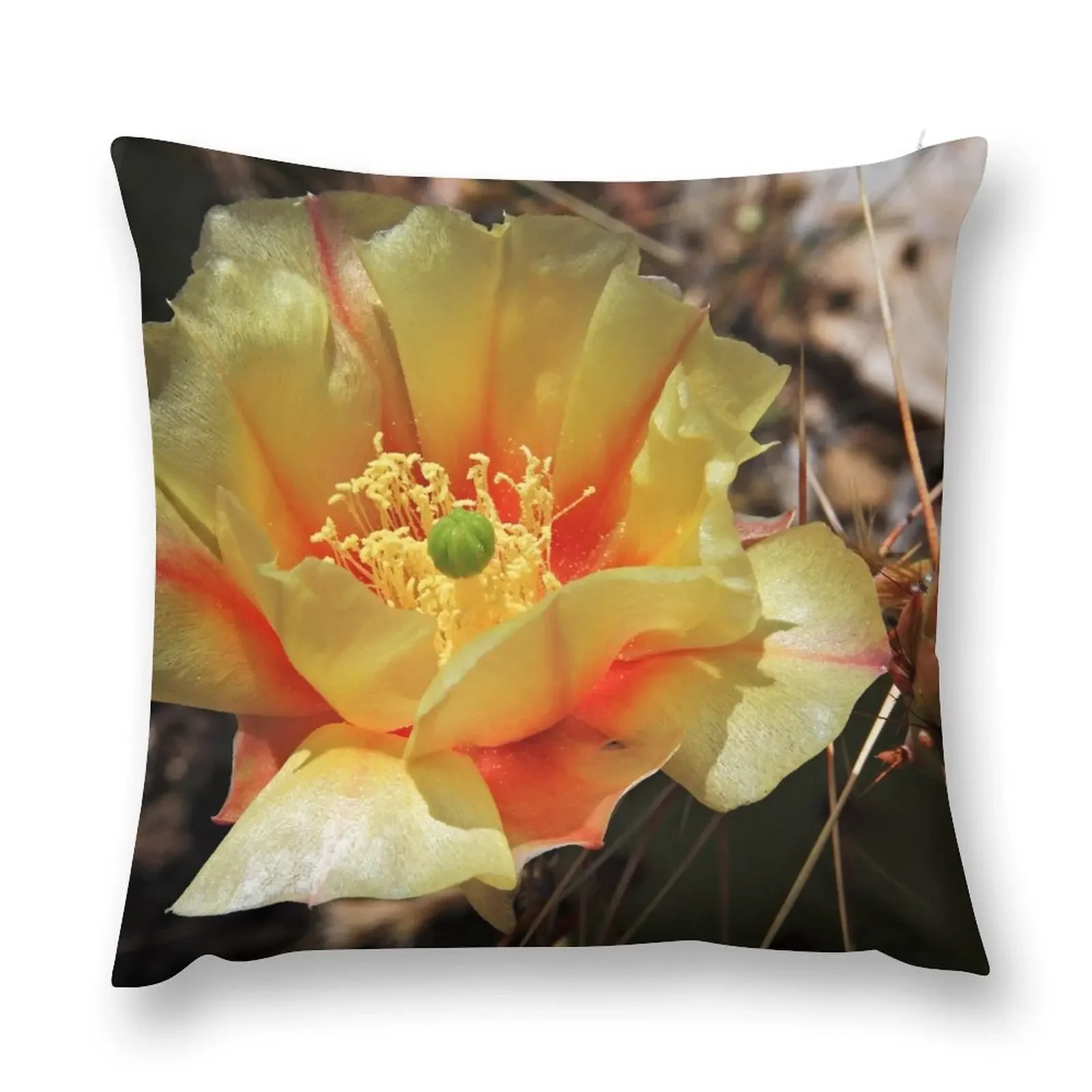 Blooming Yellow Prickly Pear Throw Pillow Christmas Covers For Cushions Christmas Covers Covers For Sofas pillow