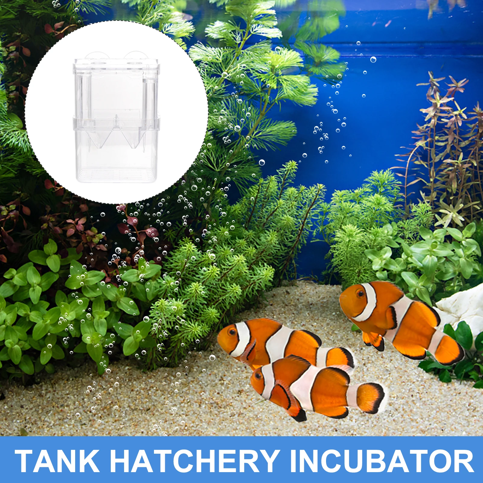 

3Pcs Small Fish Isolation Box Aquarium Breeding Box Hatchery Incubator Prevent Juvenile Fish Attack Tank Hatchery Incubator