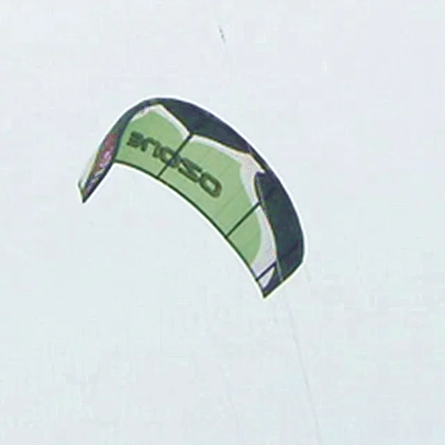 Customized Design  Kite Surfing Beach Kite Trainer Kite