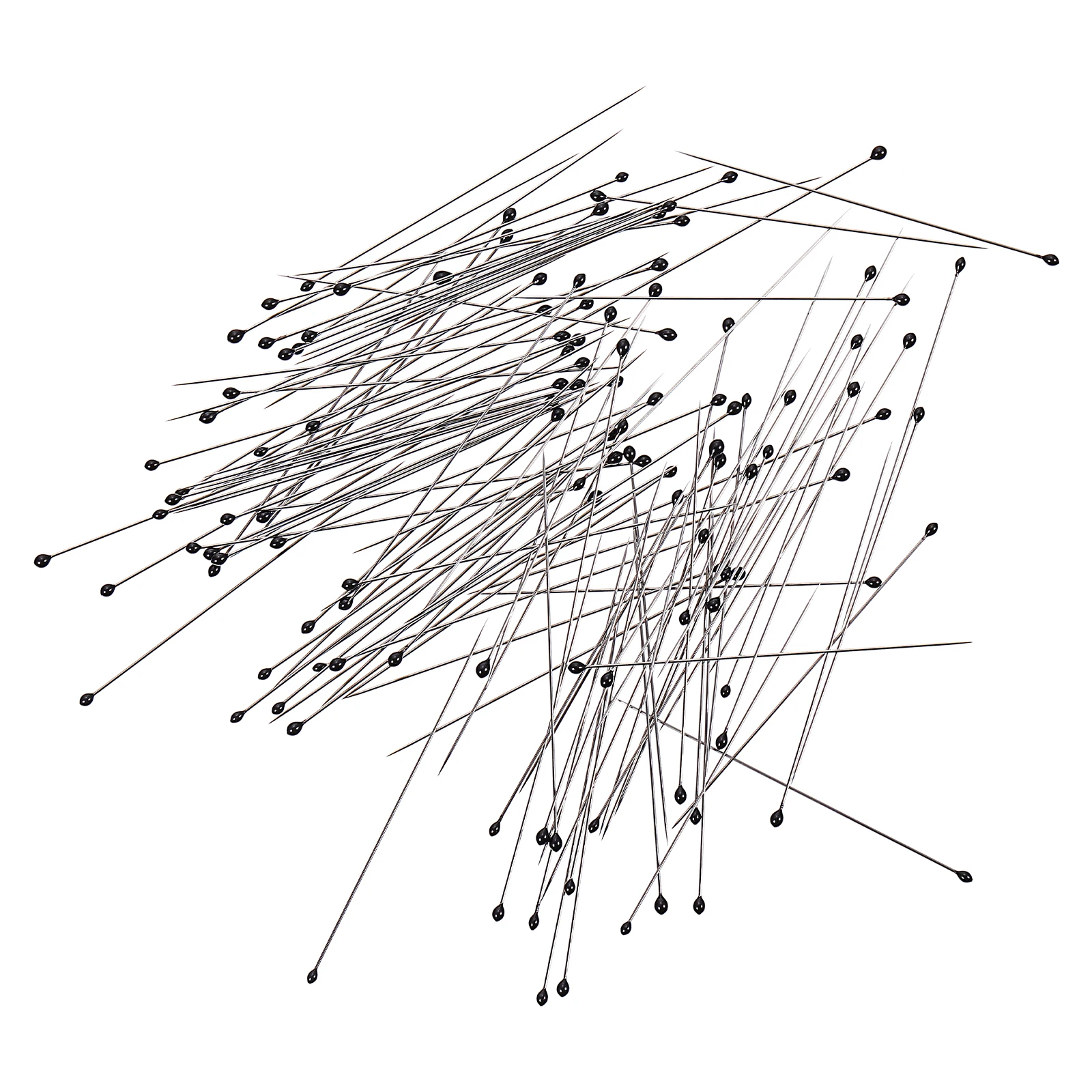 

200pcs Specimen Needles for Collection Display Stainless Steel Entomology Tools Small Medium Large Size Insect Making