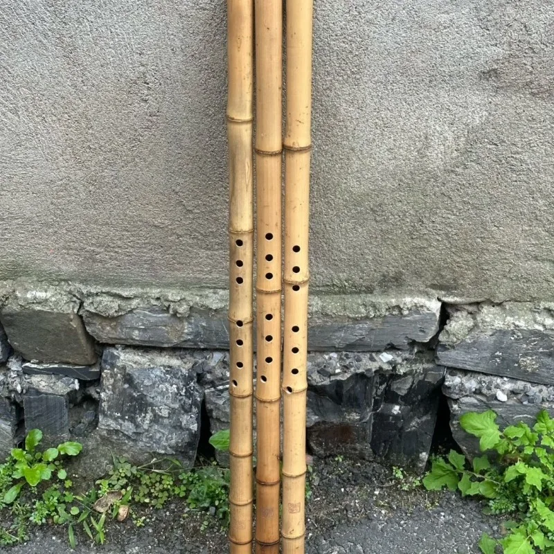 Traditional Dongxiao 8 Hole Professional Xiao Adult Performance Chinese Vertical Bamboo Flute Folk Play Woodwind Instruments