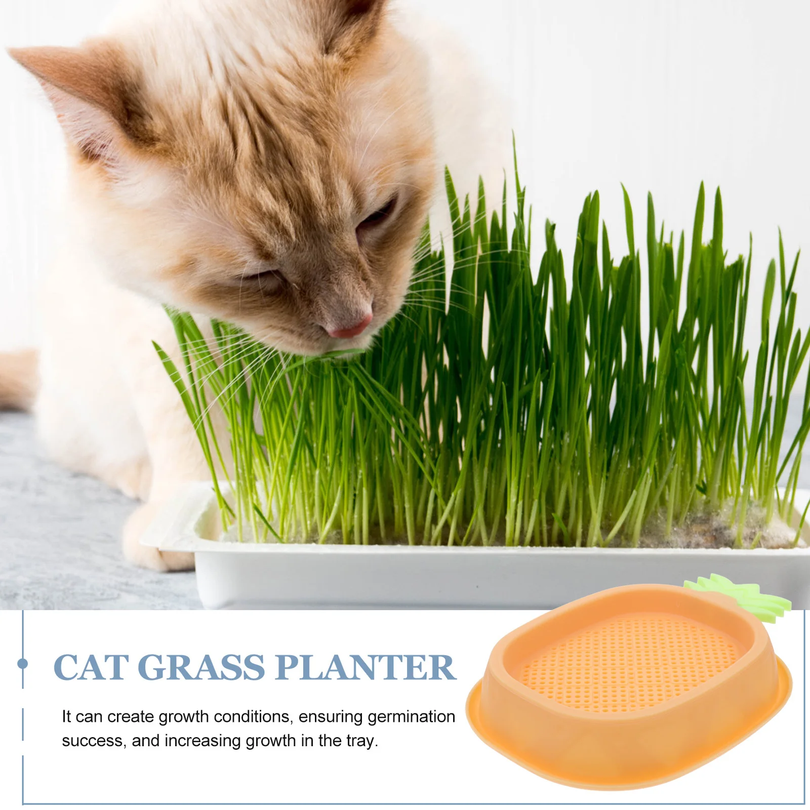 Hydroponic Cat Grass Planter Yellow Design for Cats Indoor Use Promotes Digestion Reduces Anxiety Layered Drainage