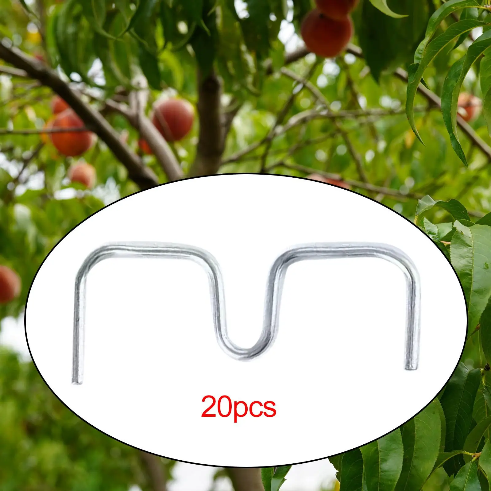 20Pcs Fruit Tree Branch Puller Pull Branch Bending Tool Plum Tree Open Angle