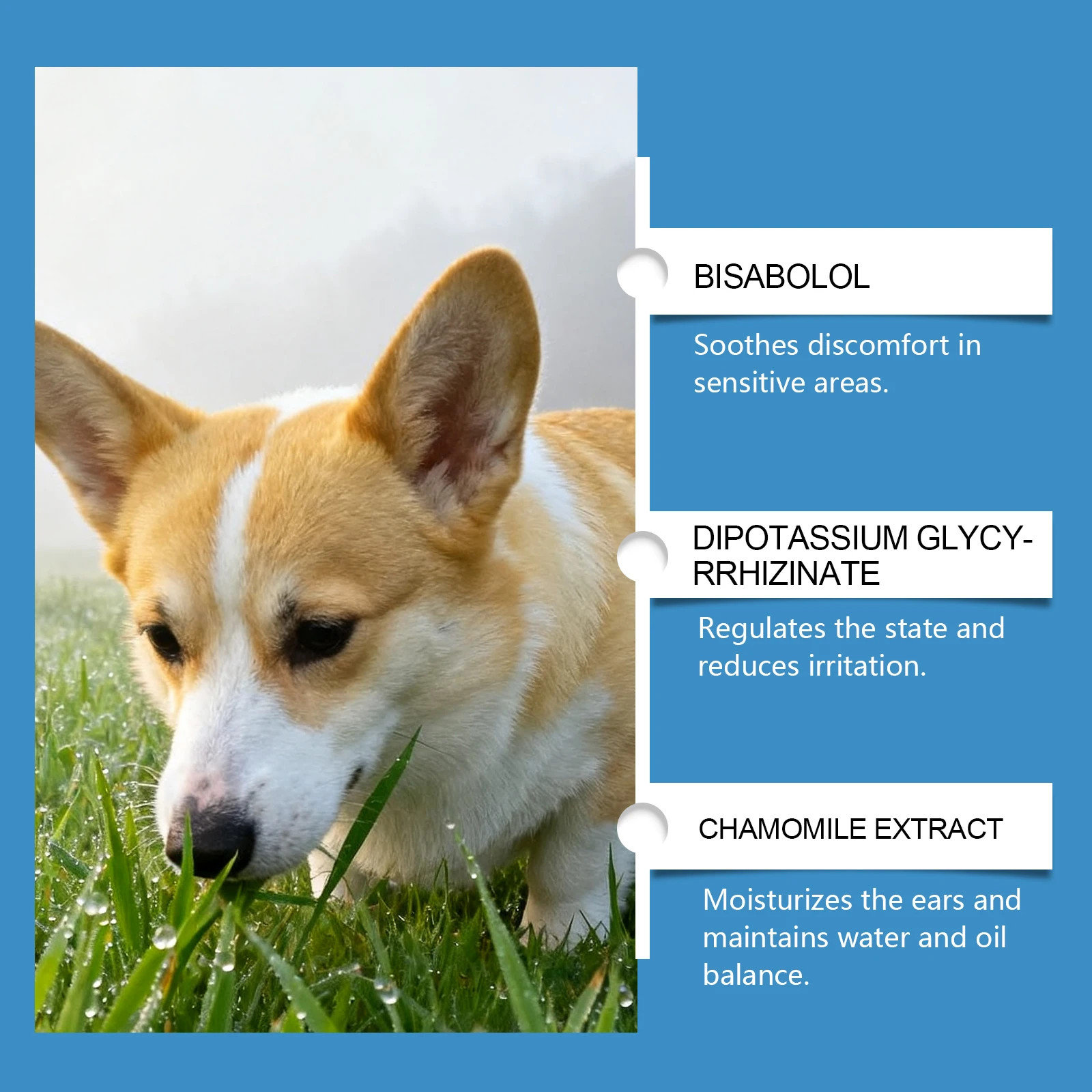 EelJoy Pet Ear Drops Dissolve  - Pet Ear Cleaner 评论和价格