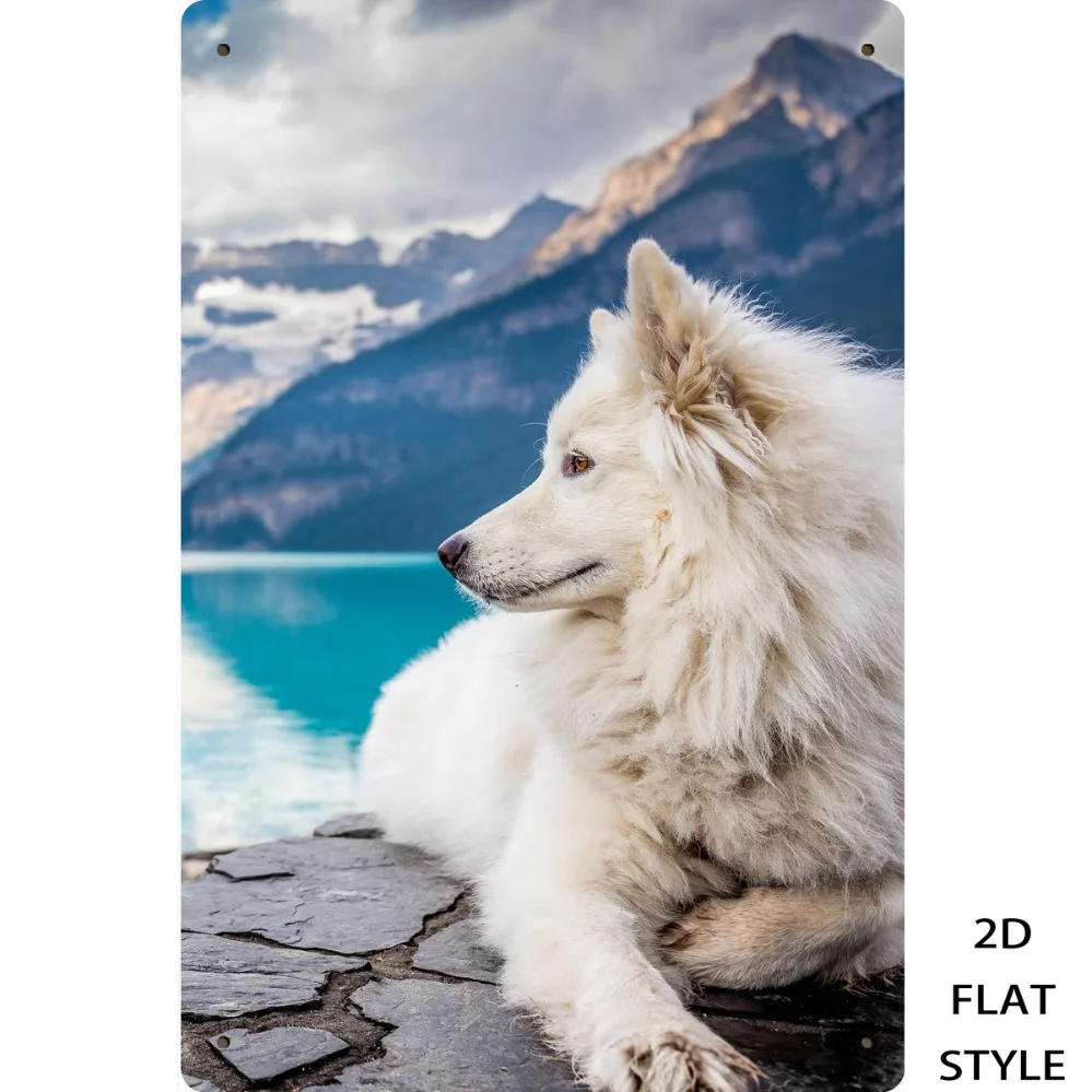 Retro-Eisenschild mit Schneelandschaft und Hund - 8x12 Zoll Rostfreies Metallschild zur Wanddekoration in Bad, Waschküche, Eingangsbereich