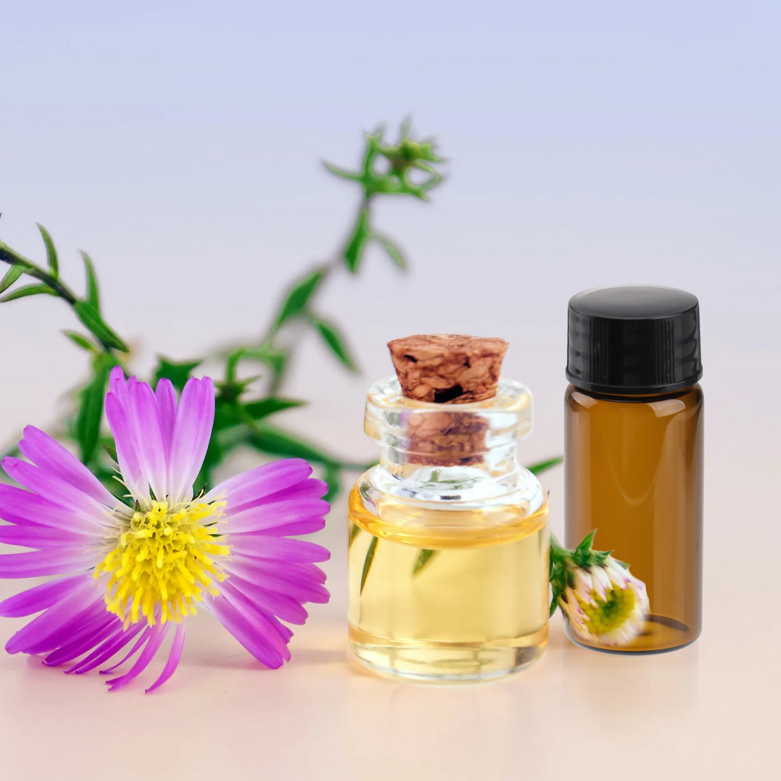 

15Pcs Brown Glass Sample Bottles Screw Mouth Leakproof Travel Small Essential Oil Reagent Containers Sample Bottles