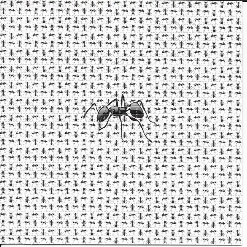 Ants Animal Psychedelic LSD Acid Free Blotter Art Print Trippy Perforated Paper Painting Wall Picture Home Decor Poster Canvas