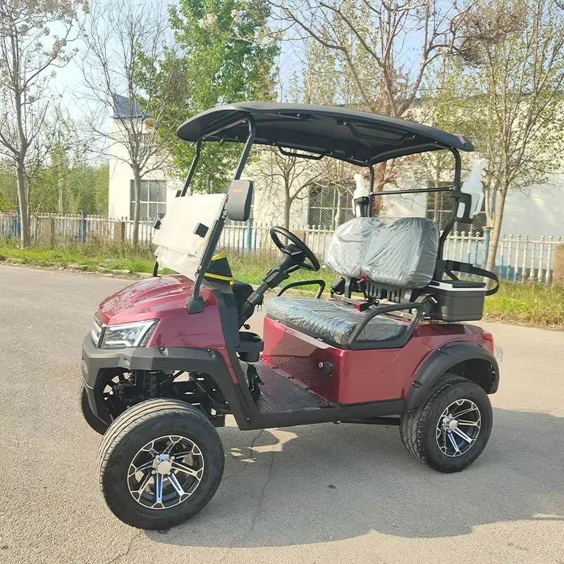 Powerful Stylish 2 Seater Electric Golf Cart for Golf Courses