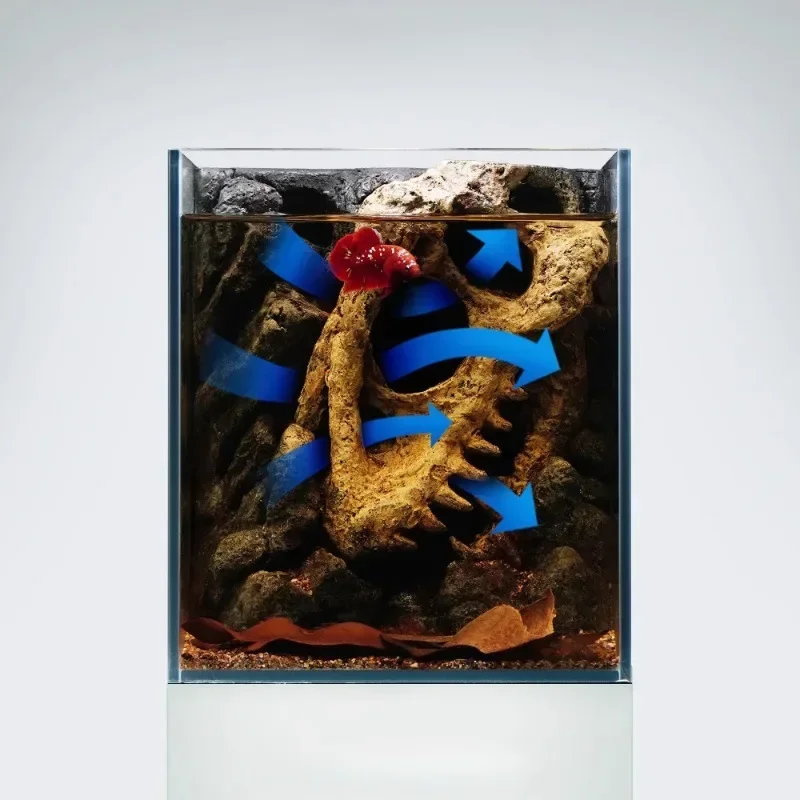 Ultra-White Glass Micro-Landscape Fighting Fish Tank Home Desktop Small Aquarium for Fish Breeding And Viewing