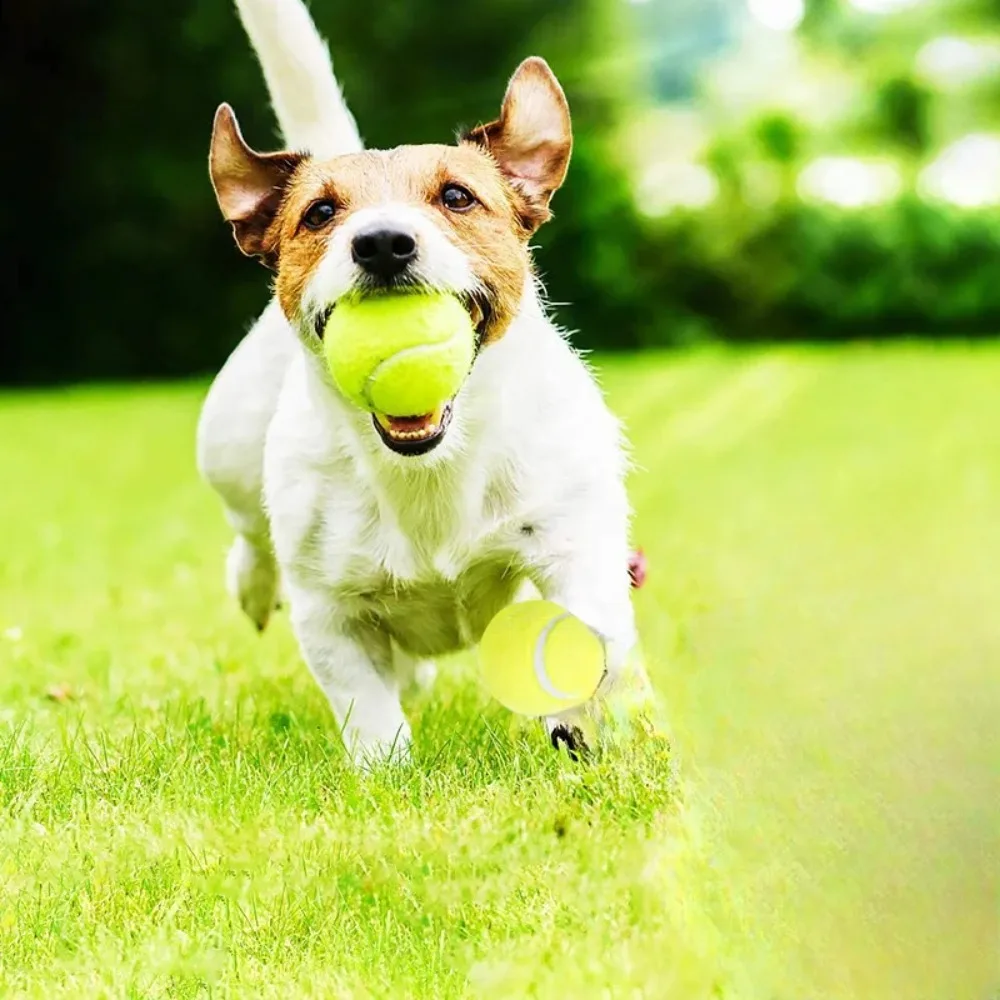 Gummi-Tennisball Hundespielzeug Hochelastisch Gestreift Batteriefrei für Kleine Hunde Outdoor-Spiel – Detail 4