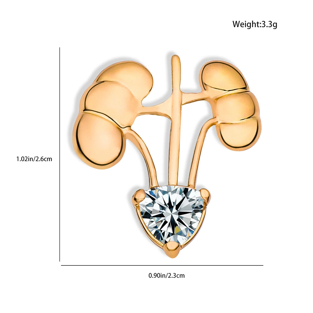Hanreshe مطعمة الكريستال الفاخرة الكلى بروش التشريح الطبية الكلاسيكية التلبيب شارة دبابيس مجوهرات ل المسالك البولية طبيب ممرضة