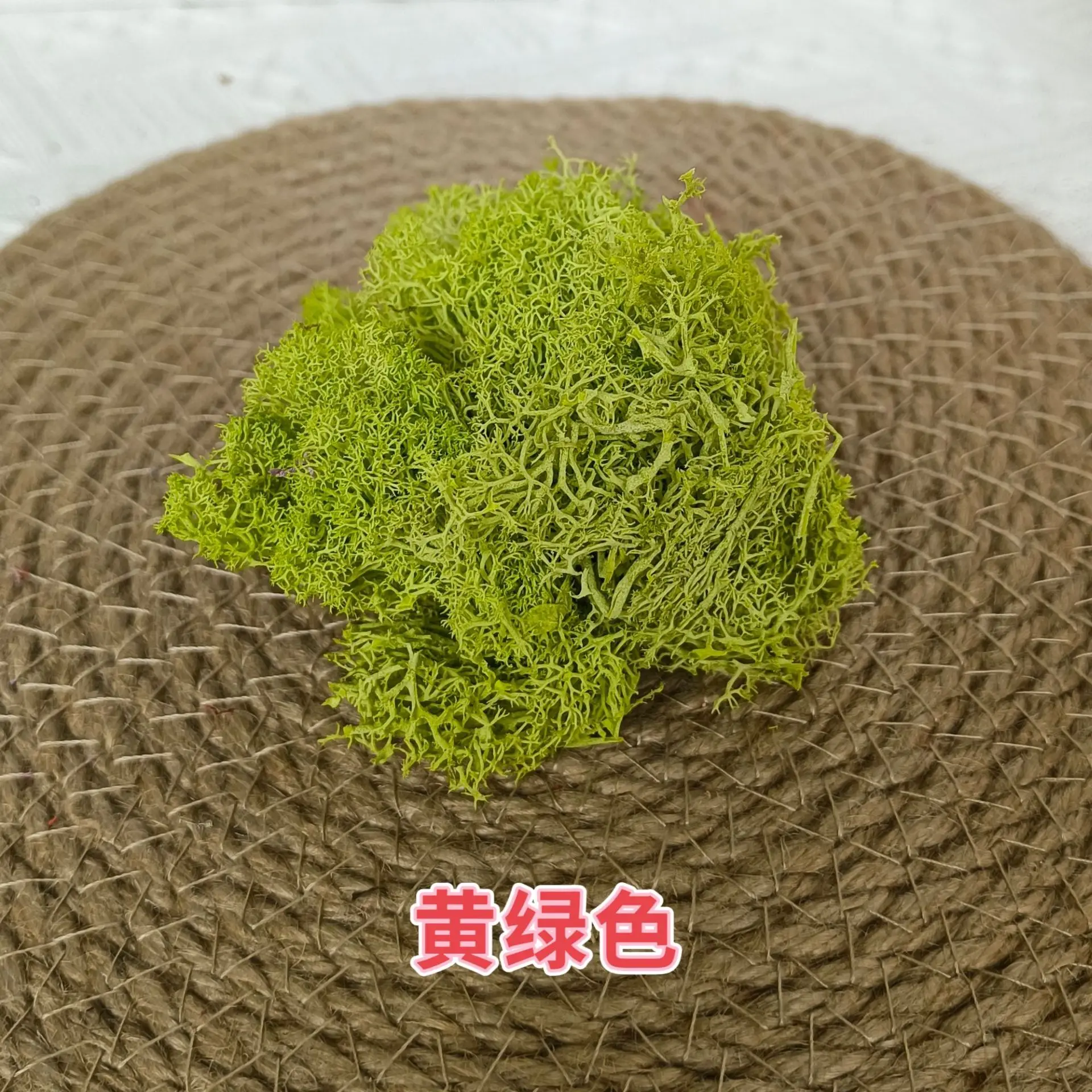 10 gr/beutel Simulation Mini Moos Pflanzen Material für Sand Tisch Landschaft Layout DIY Modell Kit Diorama Zubehör – Detail 6