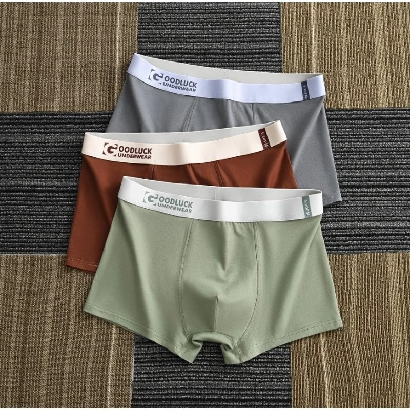 3PCS Plus Size Fashion Men Panties Breathable Boxer Shorts Male Comfortable Unerderwear Man Cotton Boxer Briefs Men's Underpants 4