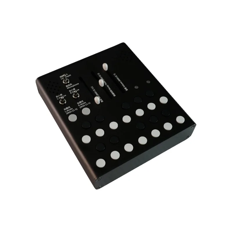 Handheld Stereo Resonator Synthesizer - Portable Electronic Musical Instrument with 3D Surround Sound for Music Production &Live