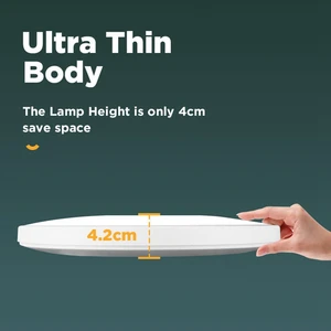 12 Main Sales ceiling chandeliers - №8