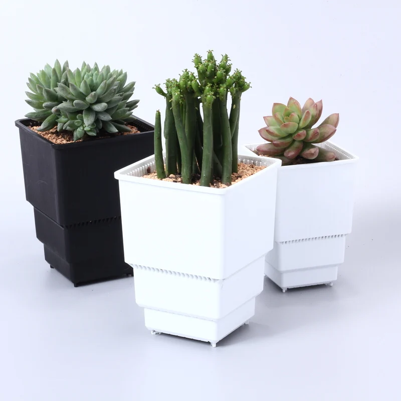 

Meshpot High Waist Square Pot with Holes, succulent Cactus Pots Lophophora Collection Container Plastic Flower Pots