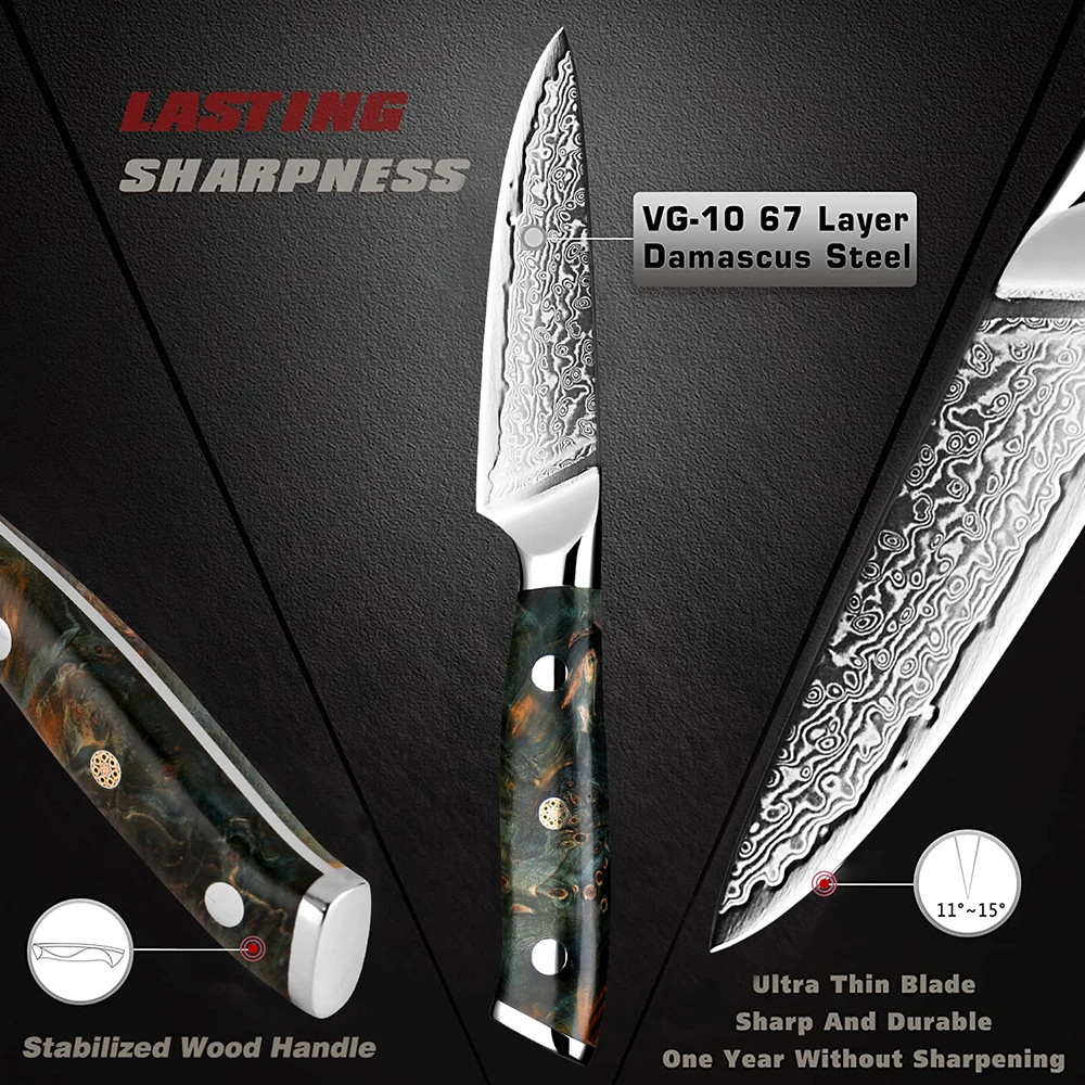 Paring knife 3.5inch sharp fruit utility knife-Japanese VG-10 super steel 67 layer Damascus steel knife-for carving and peeling