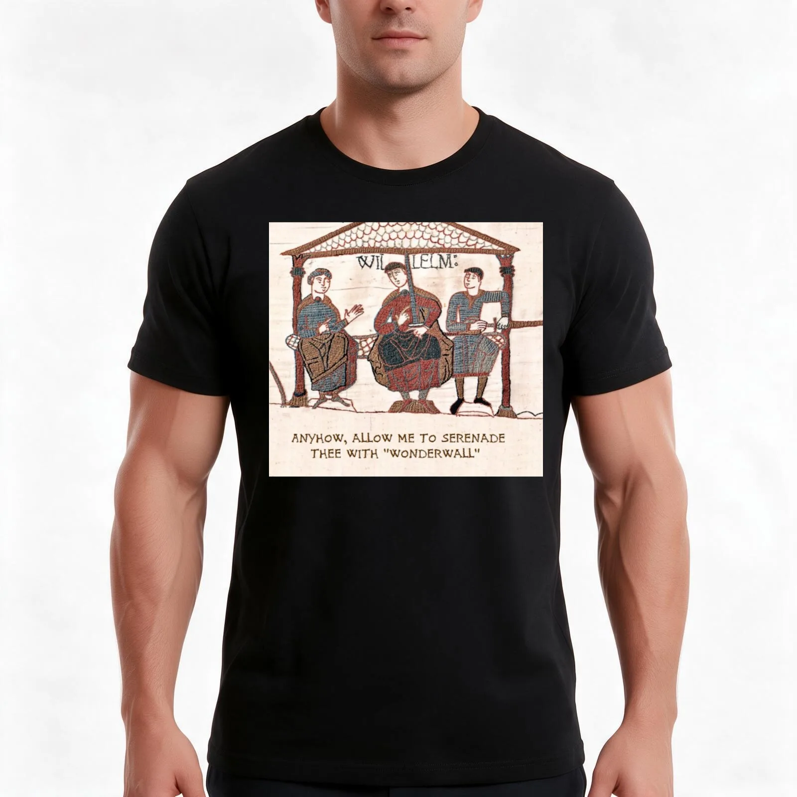 Funny Medieval meme - Anyhow Allow me to Serenade thee with Wonderwall T-Shirt, Summer Casual Cotton Tee, Vintage Graphic Print