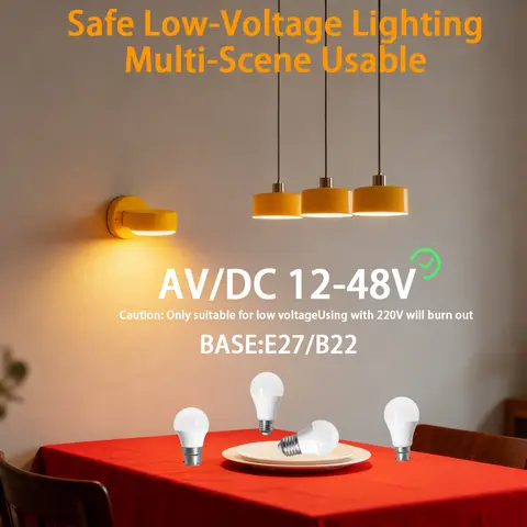 10PCS DC 12V 24V 36V 48V LED Bulb 10W 5W 3W Flicker-free AC Lamp Warm Cold Lighting for Car Home Outdoor Light