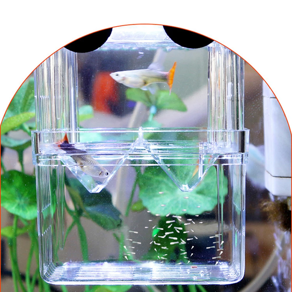 

Fry Incubation Box For Breeding Hatchery Transparent Tank Durable Plastic Fish Box Safe Water Tank For Baby Fish Protection